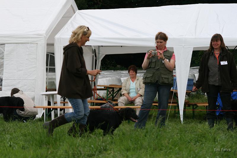 Pfostenschau (303).JPG